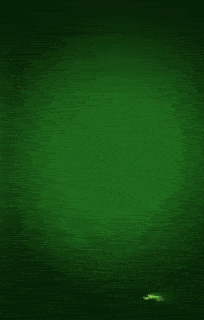 هیجو دسکتاپ خبر چپ