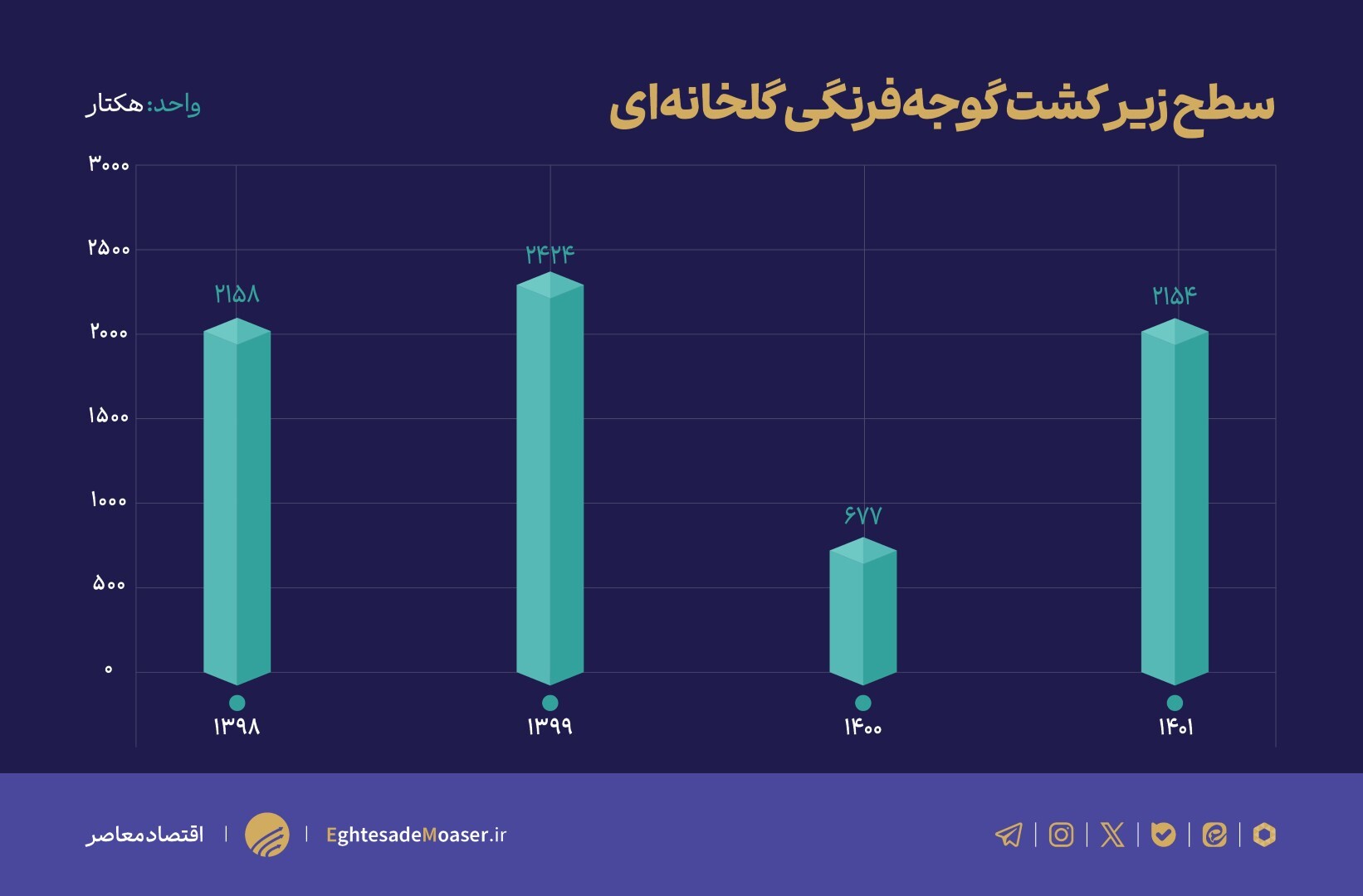 سرمازدگی، عامل اصلی گرانی گوجه‌فرنگی/ آیا تولید کشور مطلوب است؟