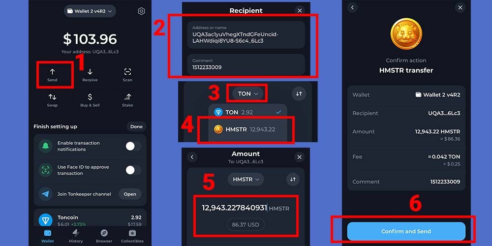 مراحل انتقال همستر از تون کیپر به نوبیتکس