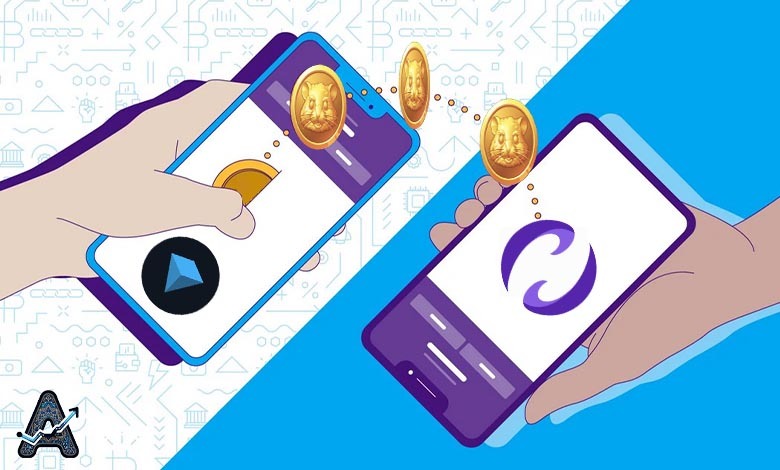 نحوه انتقال همستر از تون کیپر به نوبیتکس