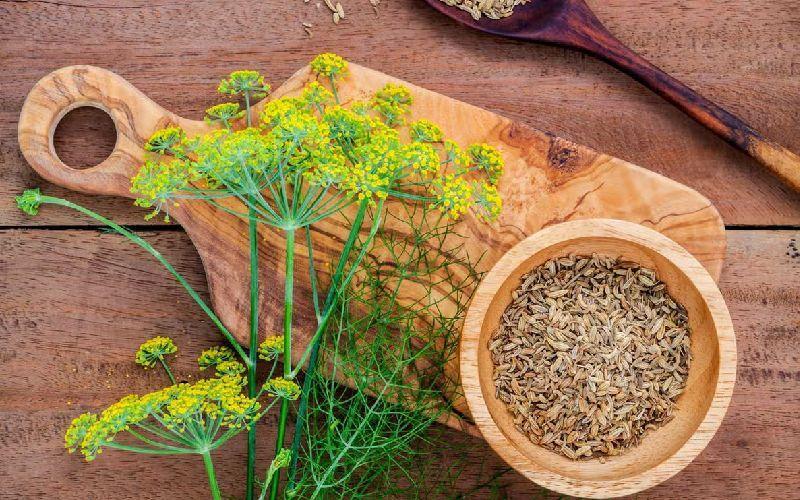 داروی گیاهی برای کشتن میکروب معده