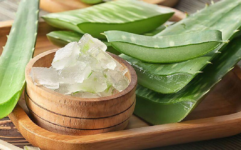 داروی گیاهی برای کشتن میکروب معده