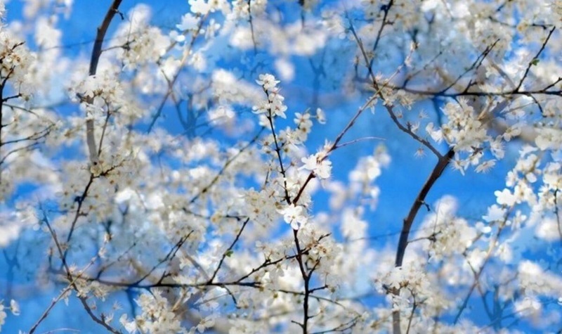 پیش بینی هواشناسی فروردین ۱۴۰۴