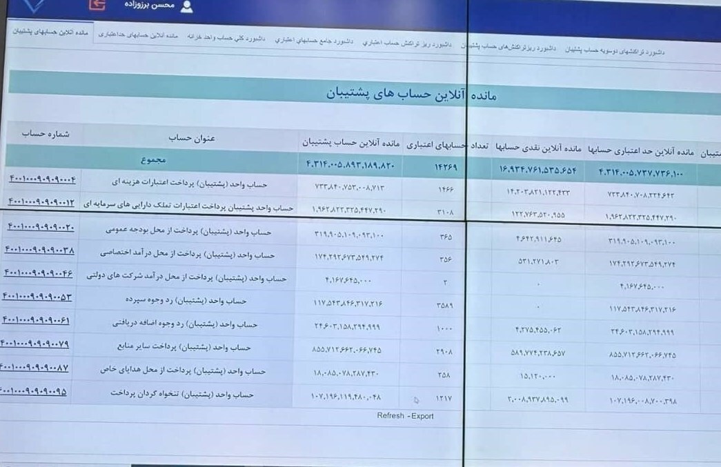 وزارت اقتصاد: یک ریال وجه نقد رسوبی در حساب دستگاهها نیست
