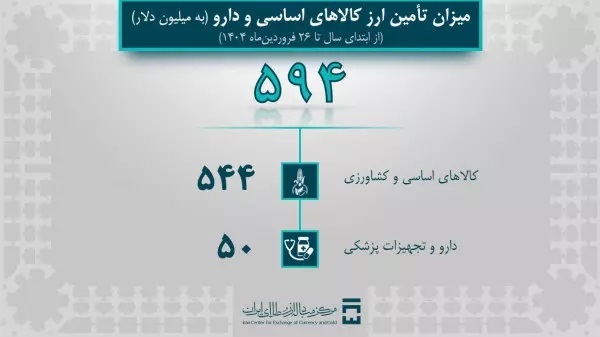 تامین ۲.۱ میلیارد دلار ارز برای واردات کالا و دارو در ۱۴۰۴