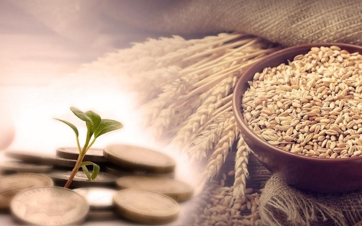 زکات فطریه ۱۴۰۴