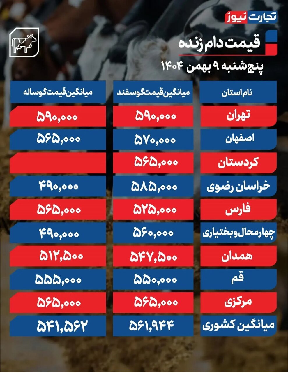 قیمت جدید دام زنده امروز ۹ بهمن ۱۴۰۴+ جدول