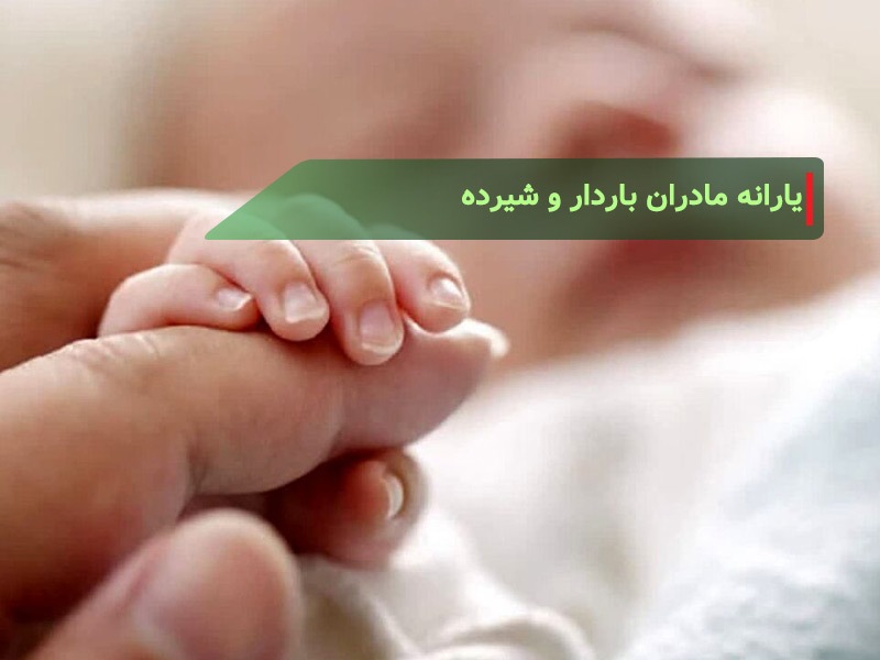 مبلغ یارانه مادران شیرده و کودکان