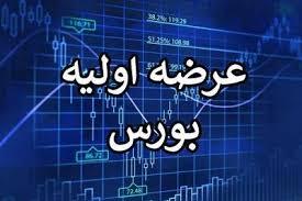 عرضه اولیه ولنوین