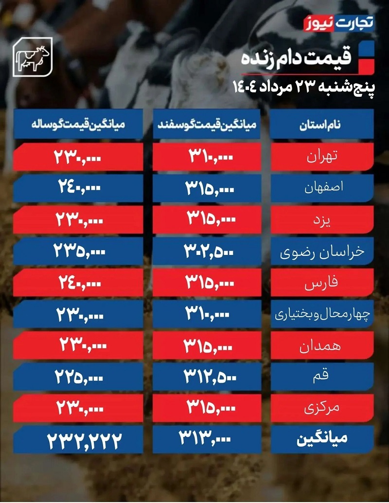 قیمت دام زنده امروز ۲۳ مرداد ۱۴۰۴ + جدول
