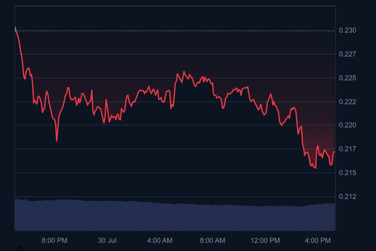 در حال ویرایش/ دوج‌کوین در آستانه جهش یا سقوط؟