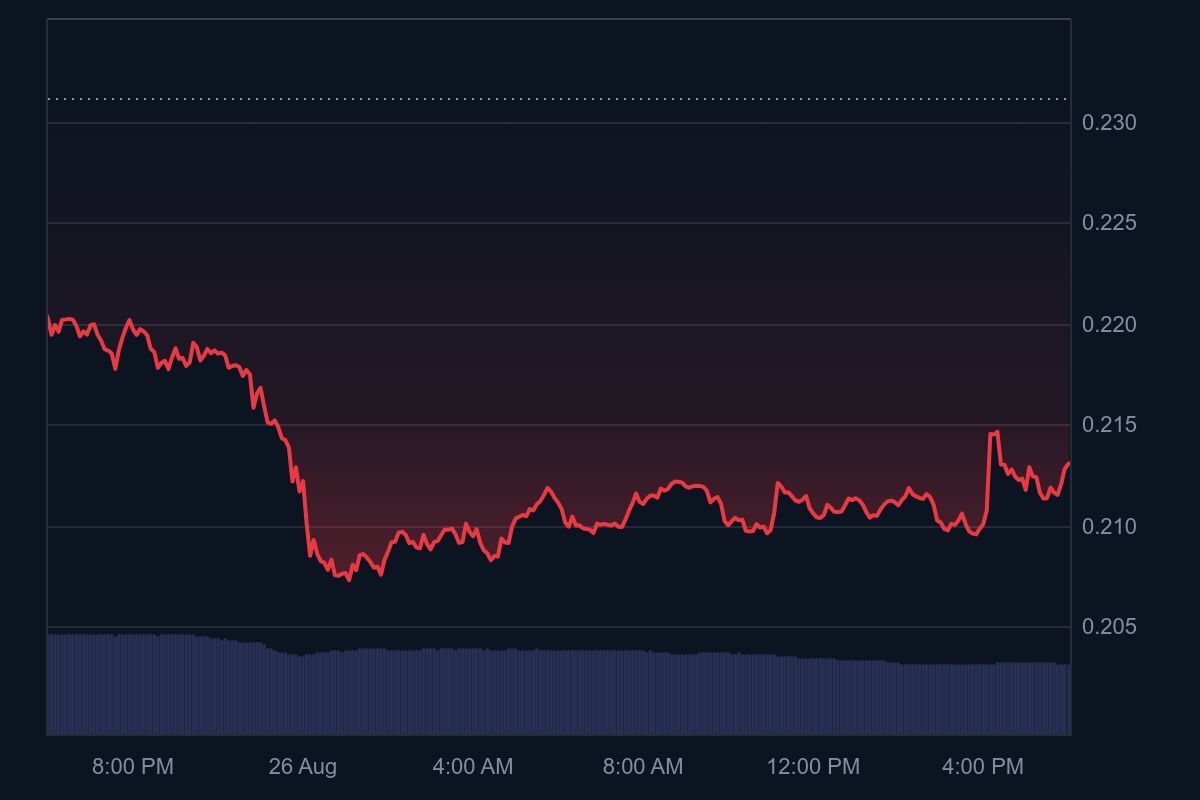 در حال ویرایش/ انباشت بی‌سابقه دوج‌کوین در کف قیمتی