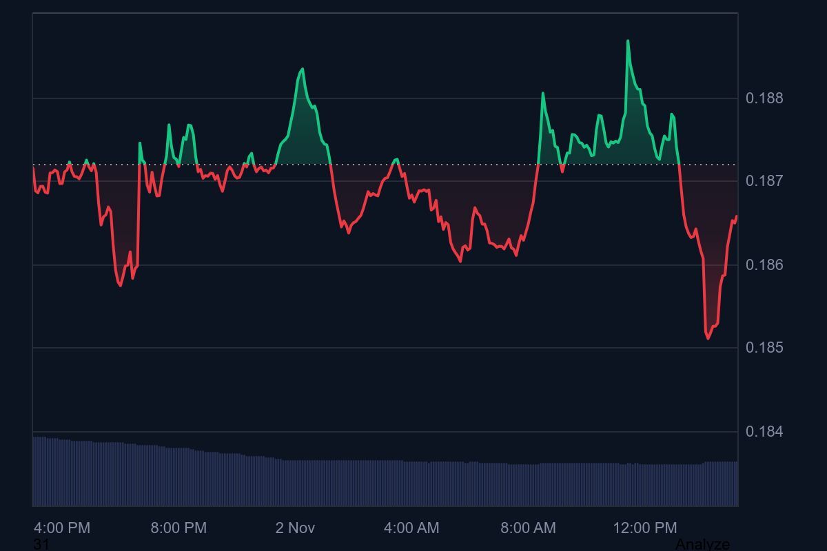 در حال ویرایش/ قیمت دوج‌کوین در وضعیت بحرانی؛ آیا زمان سقوط فرا رسیده است؟