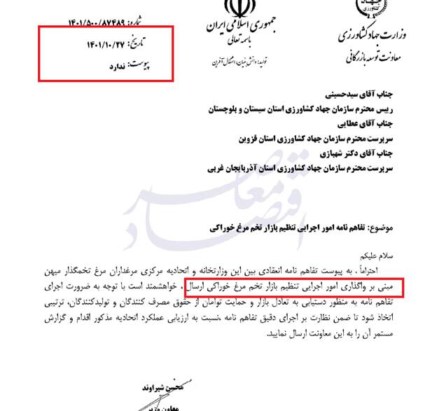 ابهام در صادرات مرغ و تخم‌مرغ