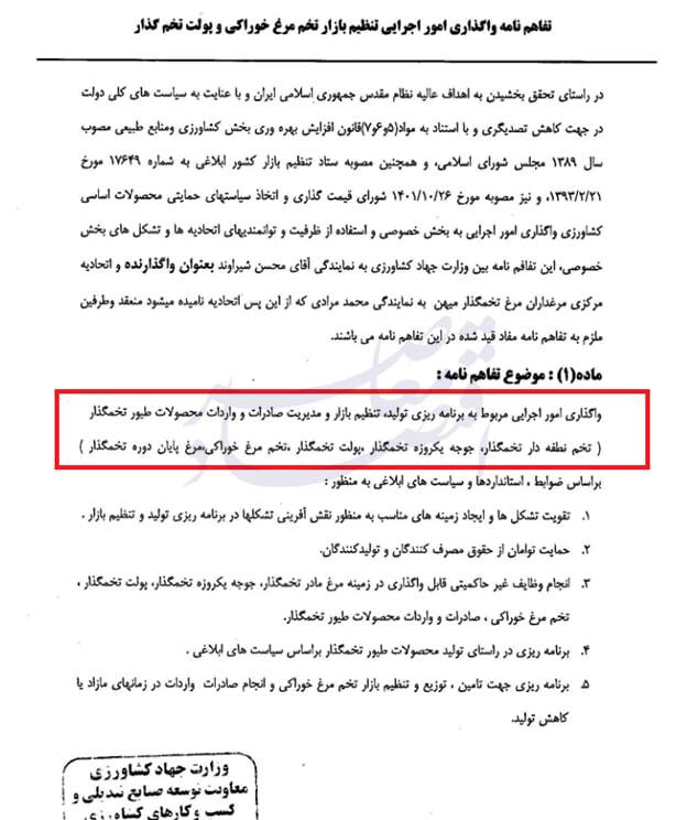 ابهام در صادرات مرغ و تخم‌مرغ