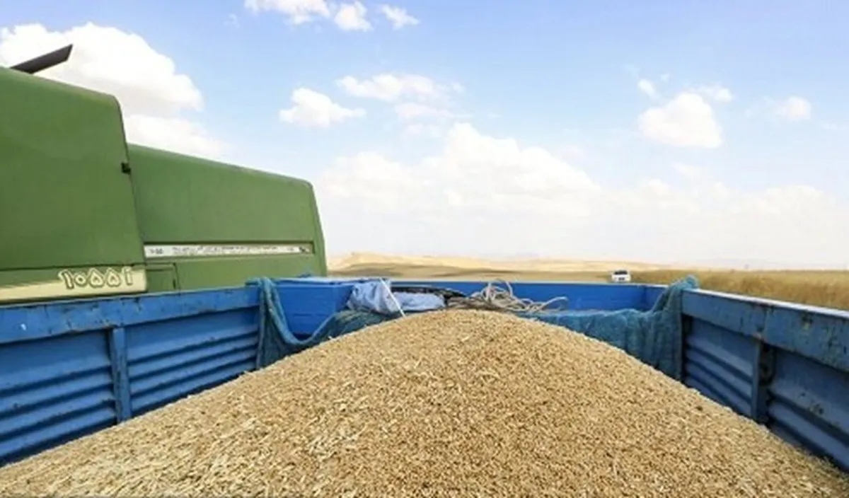 ۱.۲ میلیون تن گندم کیفی برای حفظ ذخایر استراتژیک وارد شد