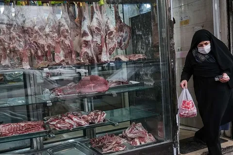 وضع مطلوب بازار گوشت کشور با وجود شرایط جنگی؛ احتمال کاهش قیمت وجود دارد