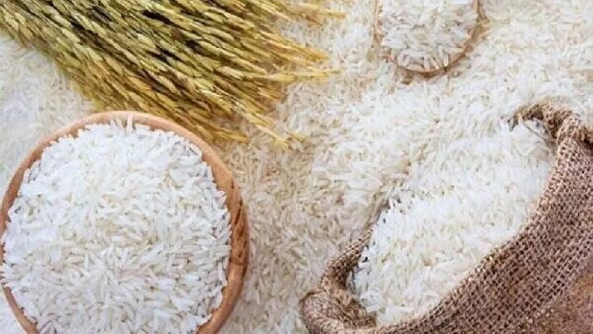 ثبت سفارش ۱۵۰ هزارتن برنج برای ترمیم ذخایر راهبردی در مردادماه