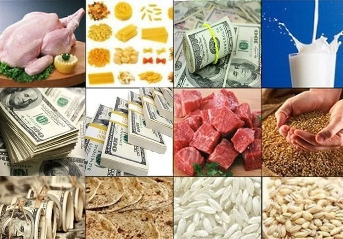 انحصار و رانت ثمره ارز ترجیحی برای کشور بود