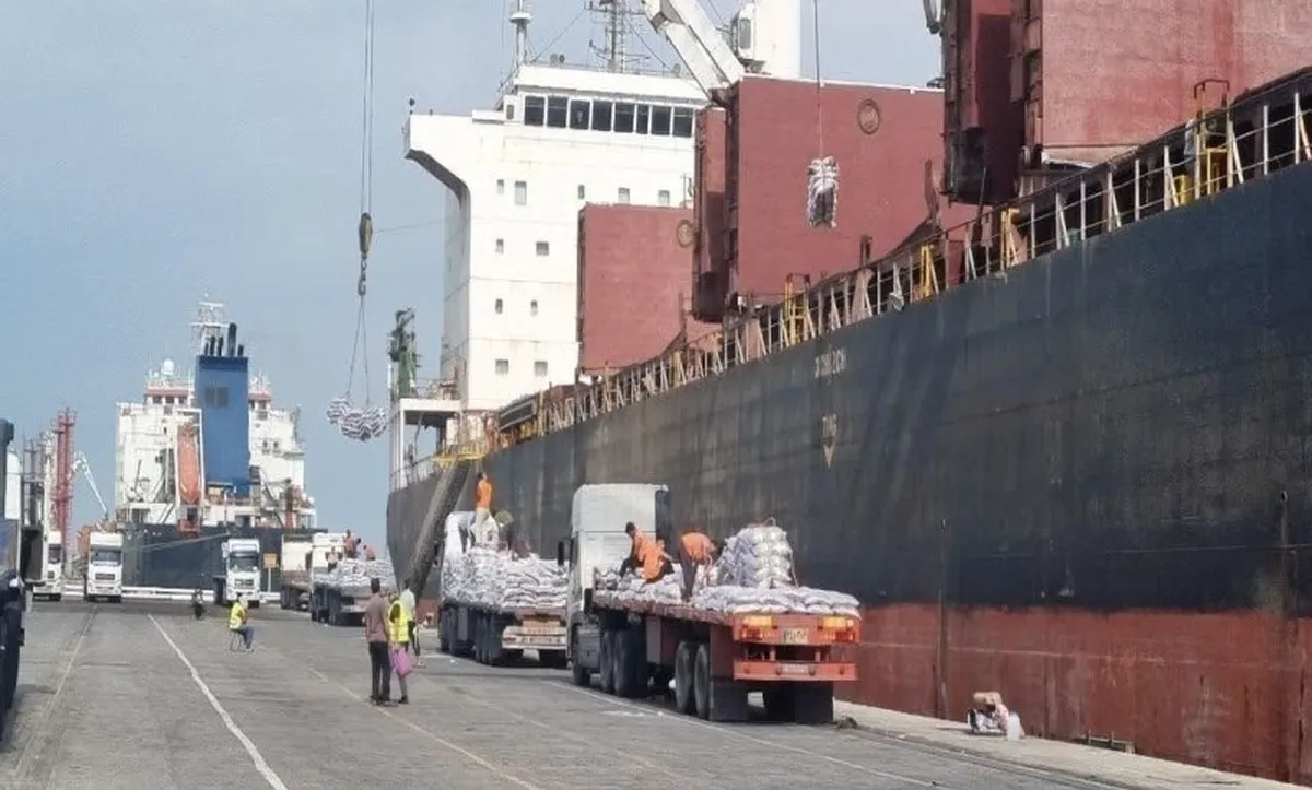 جزییات دلایل معطلی کالاها در برخی گمرکات چیست؟