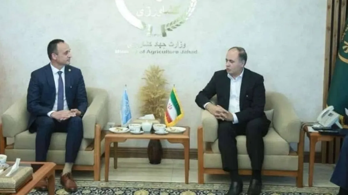 فائو مرکز ثقل همکاری‌های بین‌المللی کشاورزی و غذا است