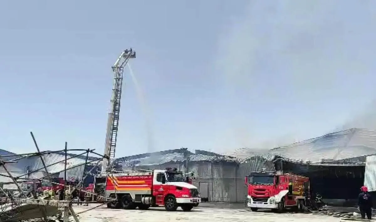 خودسوزی طبیعی دانه‌های روغنی در بندر امام