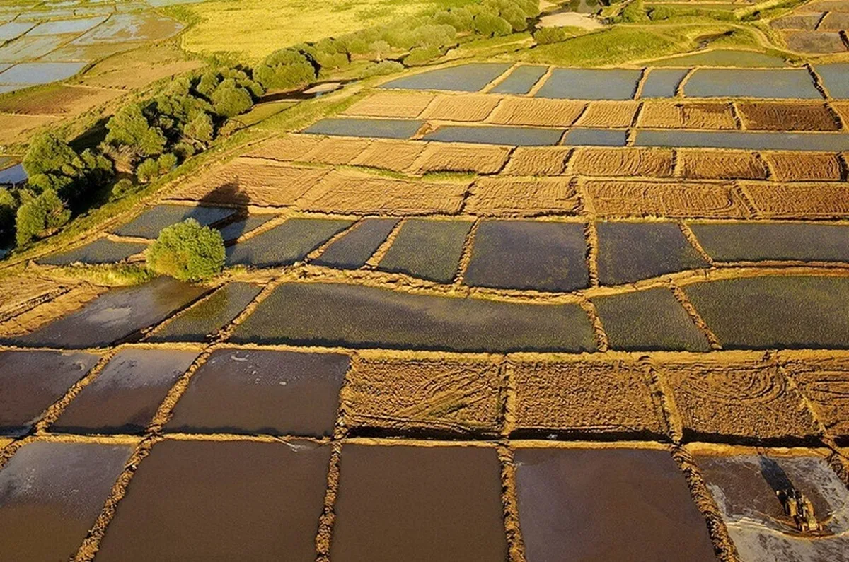 کندی روند حدنگاری زمین‌های کشاورزی در روستا‌ها
