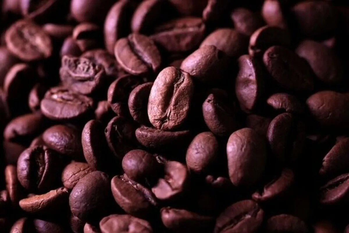 دورنمای بازار جهانی قهوه روشن شد