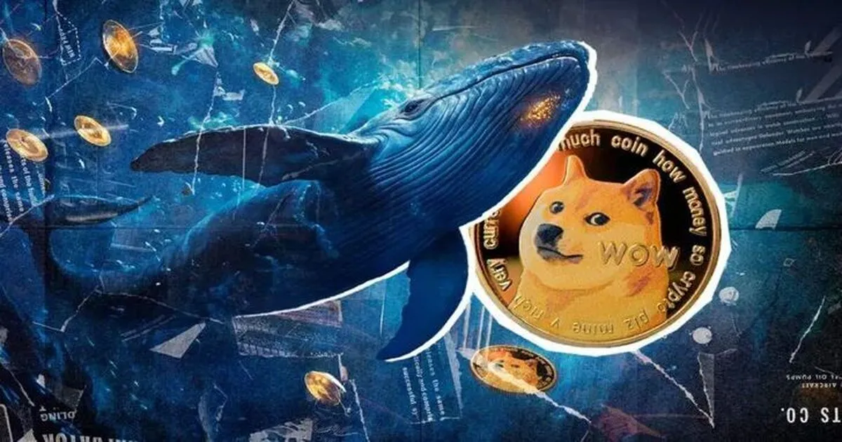 انباشت بی‌سابقه دوج‌کوین در کف قیمتی