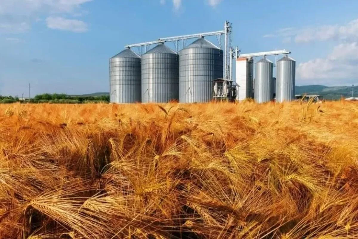 وزارت جهاد به‌تنهایی توان حفظ امنیت غذایی ندارد؛ ۴ دستگاه دیگر هم مسئولند