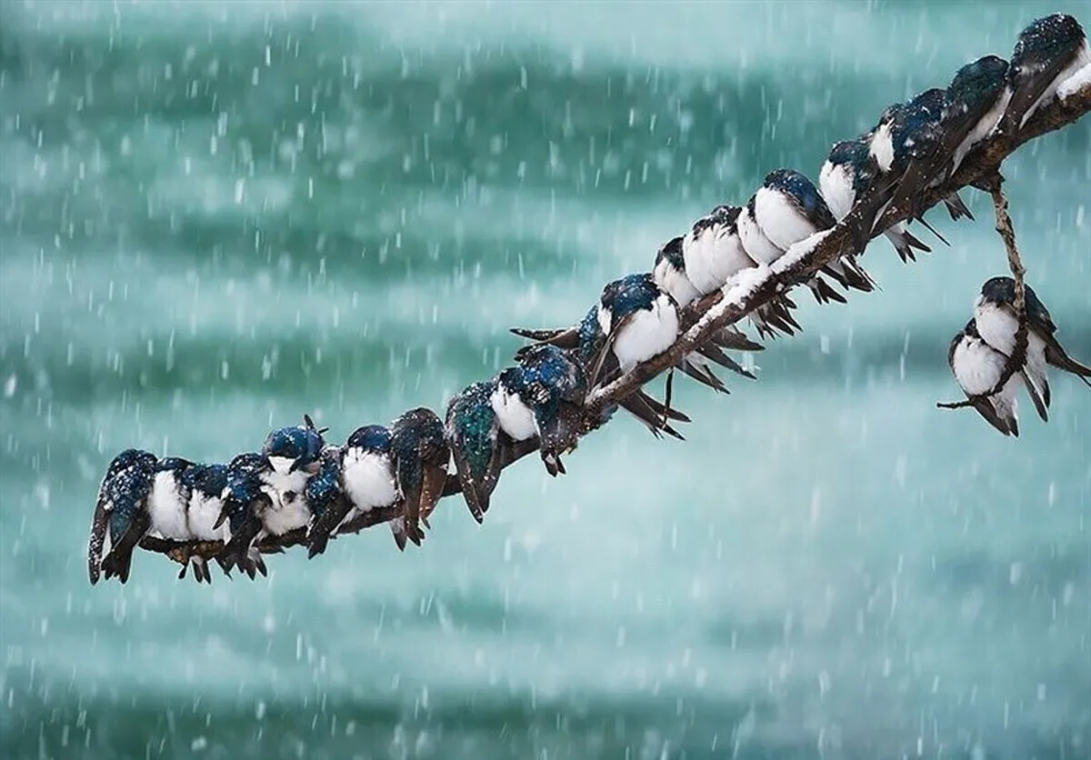 هشدار نارنجی هواشناسی برای تهران