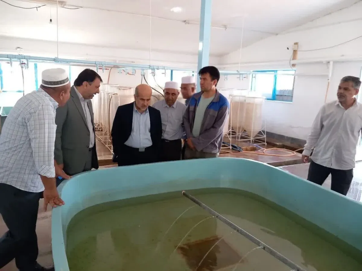 رییس سازمان شیلات: حفظ ذخایر ماهیان خاویاری، اولویت ملی است