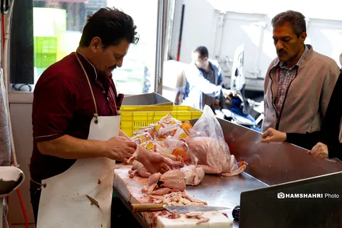 افزایش ناگهانی قیمت مرغ در بازار