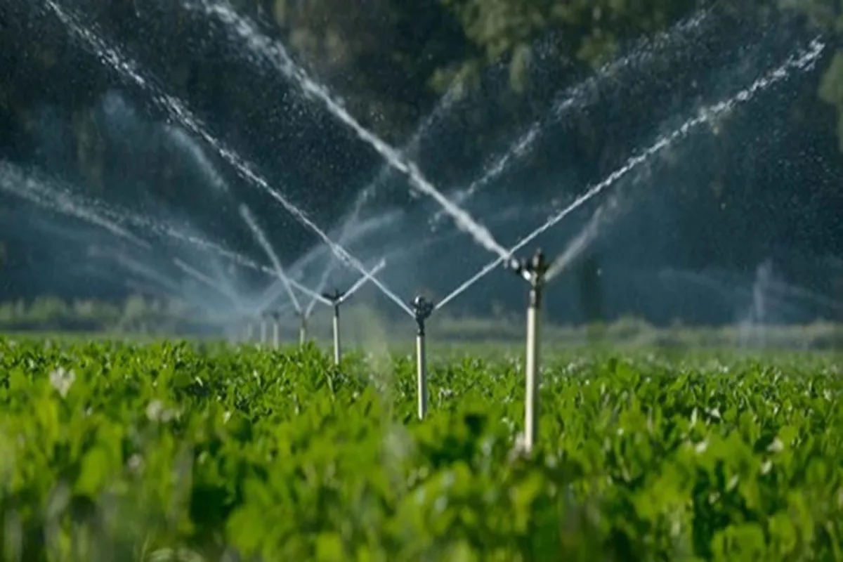 تجهیز ۱۵ هزار هکتار از باغات کشور به آبیاری زیر سطحی