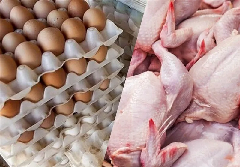 مصرف مرغ ۲۰ درصد کم شد