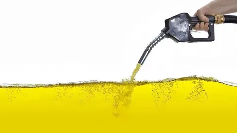 دورکار شدن ویتنامی‌ها به خاطر افزایش قیمت سوخت