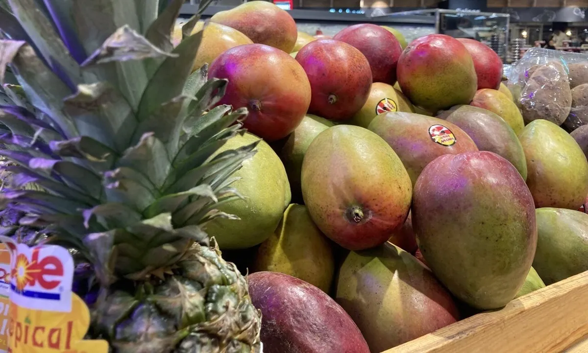 میوه‌های وارداتی چرا‌ ارزان‌تر از داخلی است؟