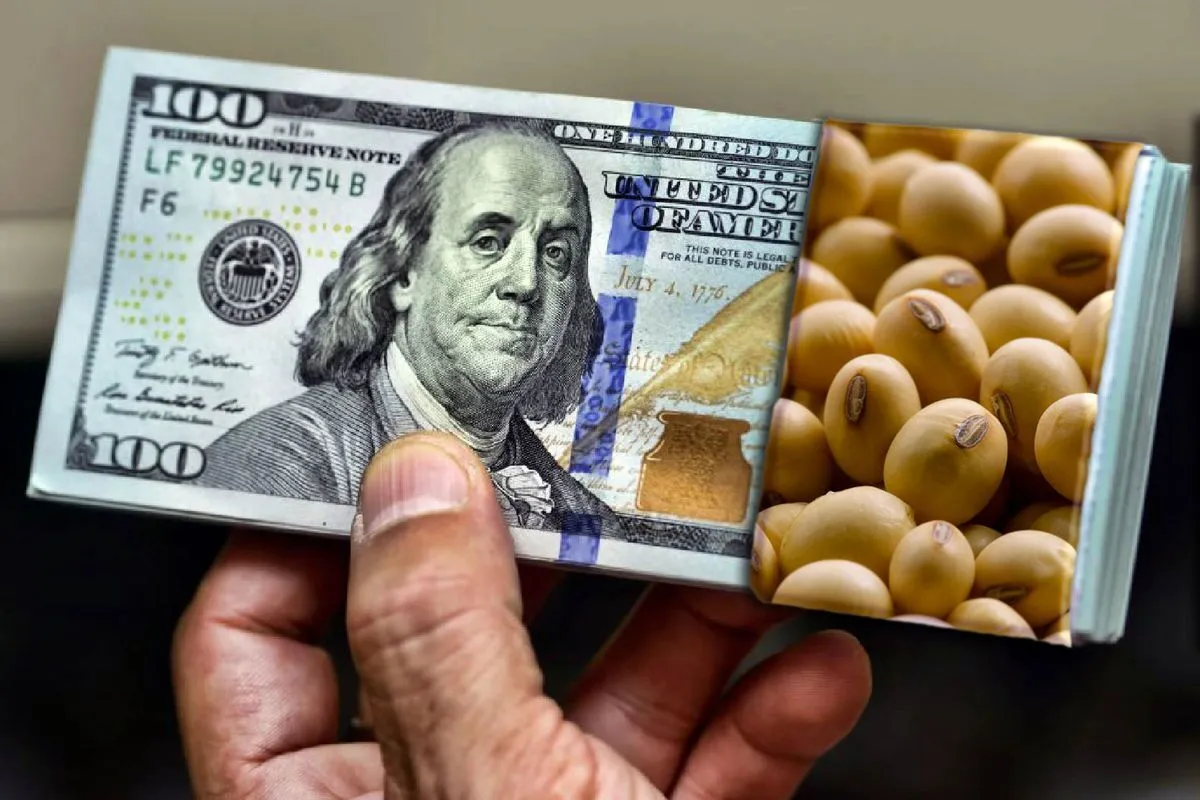 ارز ترجیحی چندان به هدف اصابت نمی‌کند؛ دولت فکری به حال وزیر جهاد کند