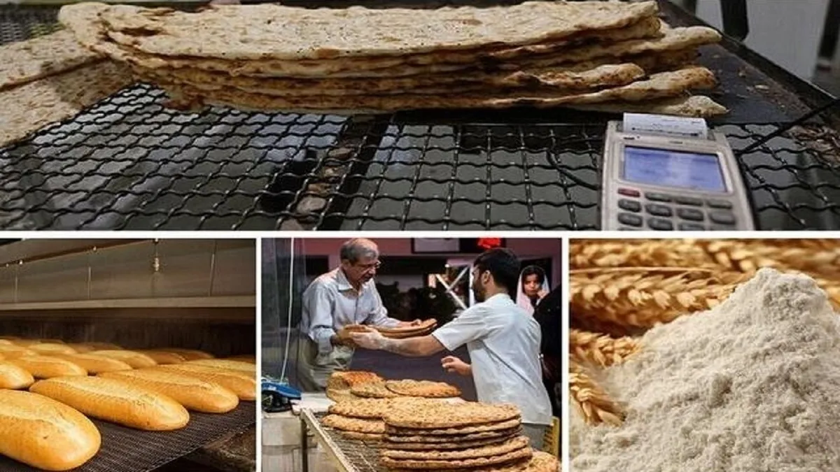مشکلی در تامین گندم و آرد واحد‌های خبازی نداریم