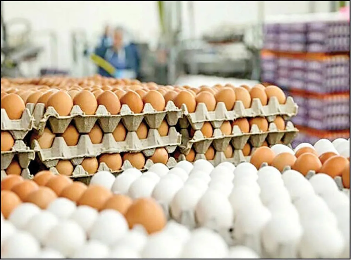 قیمت تخم‌مرغ به نرخ مصوب عرضه نمی‌شود + جدول قیمت کالاهای اساسی