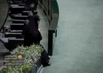 صحن علنی صبح ۴ آذر ماه مجلس شورای اسلامی