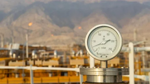 ورود چند فاز جدید گازی به مدار تولید تا پانزدهم ماه جاری