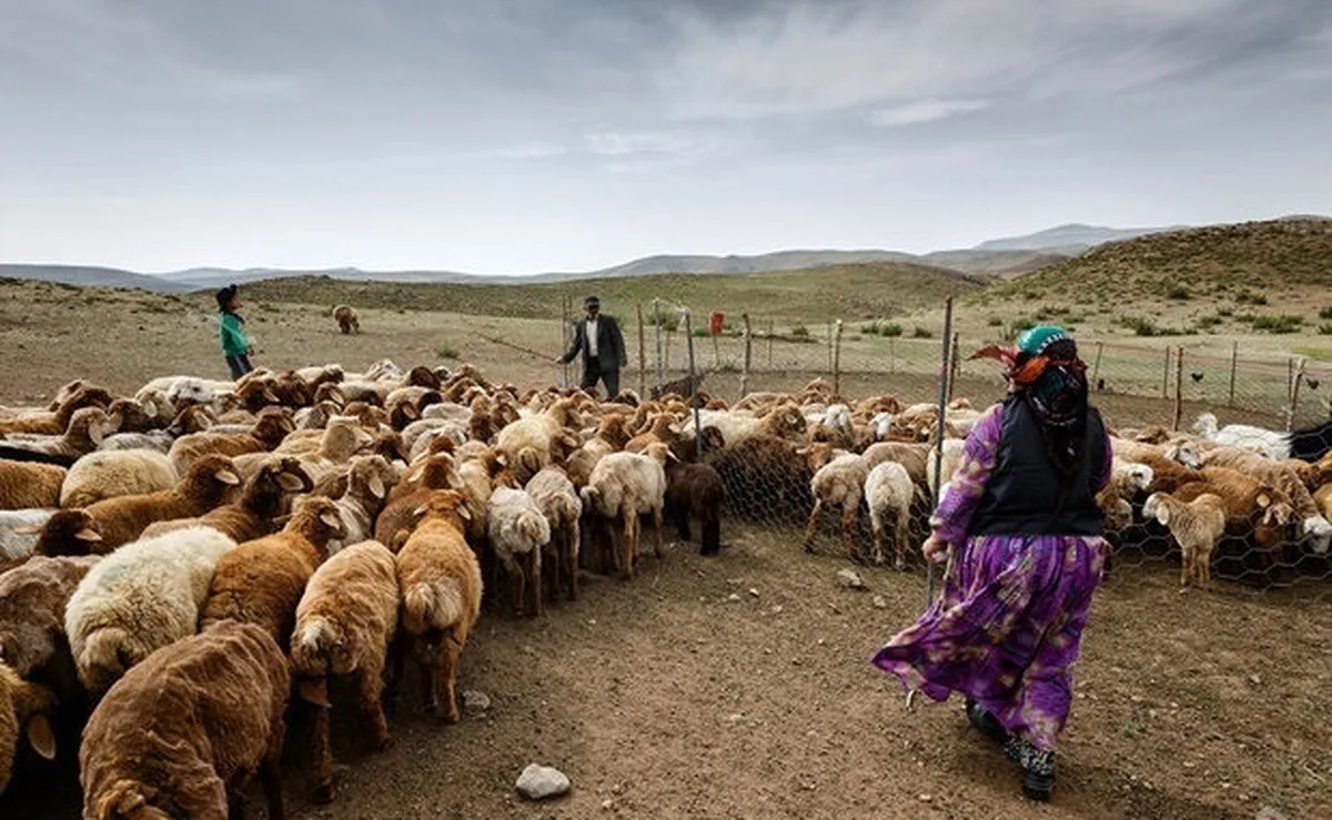 آمادگی کامل برای خدمات‌رسانی بی‌وقفه به عشایر کشور