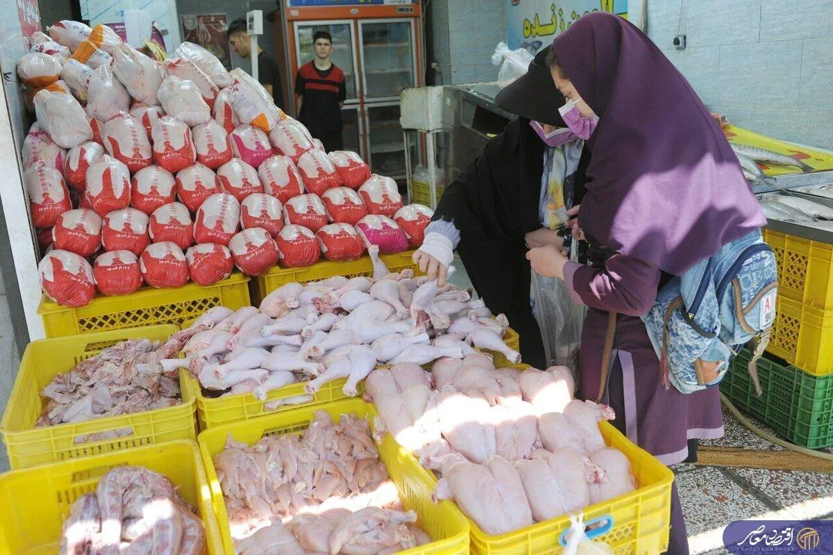 دولت وارد عمل شد؛ تسهیلات برای مهار گرانی گوشت و مرغ
