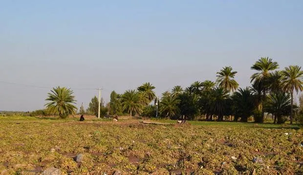 جبران خسارات ناشی از سیل در حال پیگیری و انجام است