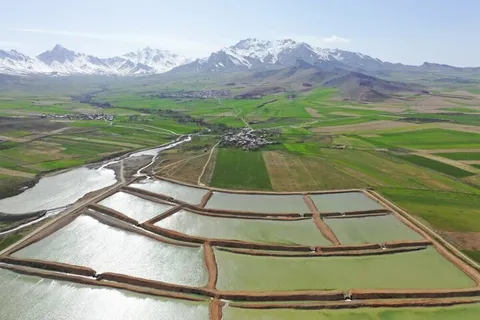 تخصیص ۵.۵ همت اعتبار برای طرح آبخیزداری در سال جاری