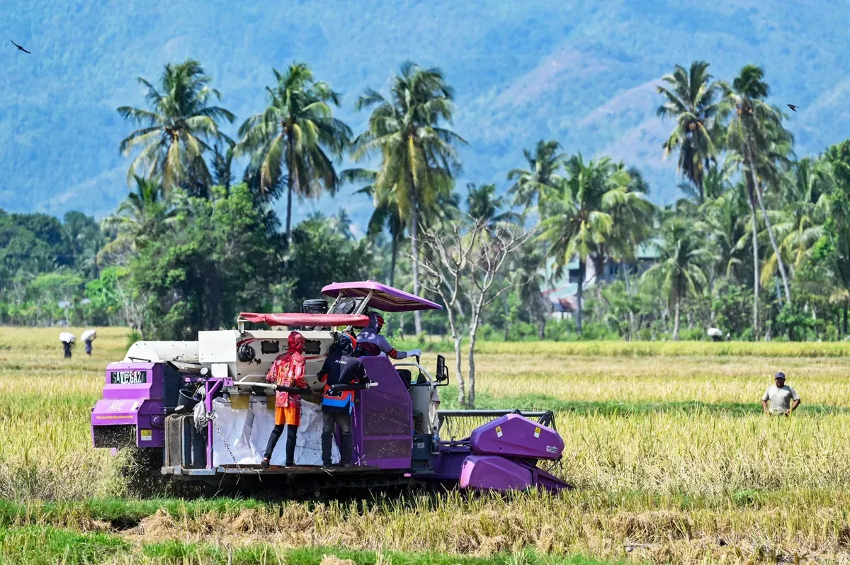 بن‌بست کشاورزی در اروپا و آسیا؛ کشاورزان گازوئیلی برای راه‌اندازی ادوات ندارند