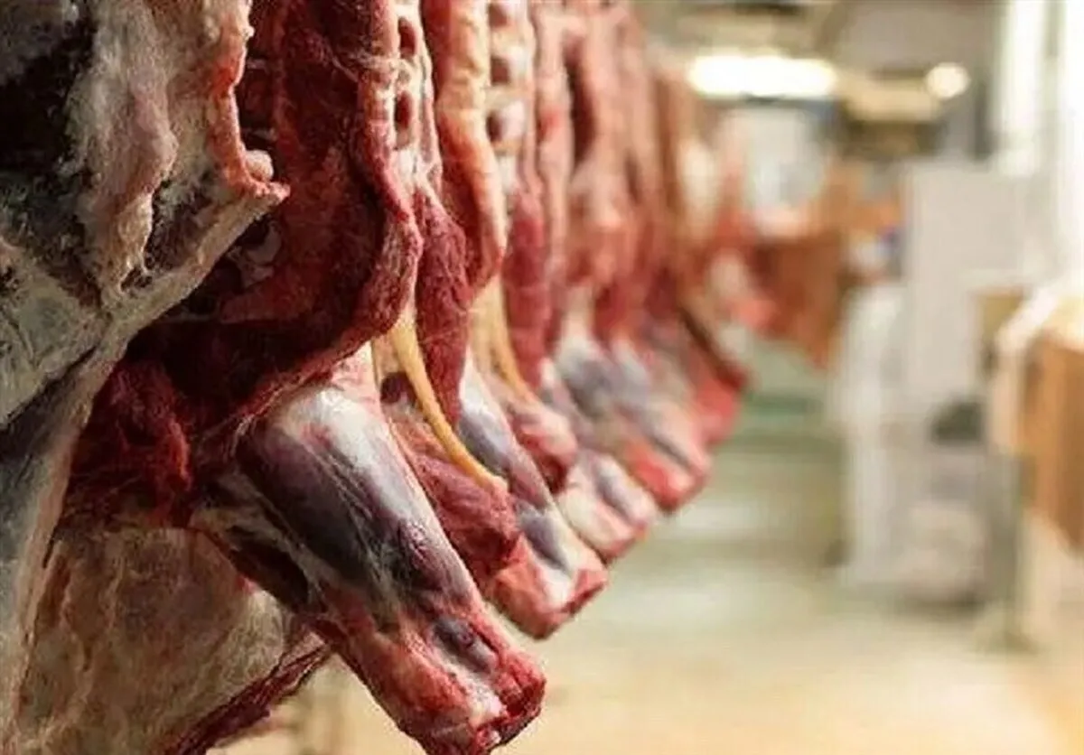 افزایش ۷ درصدی عرضه گوشت قرمز