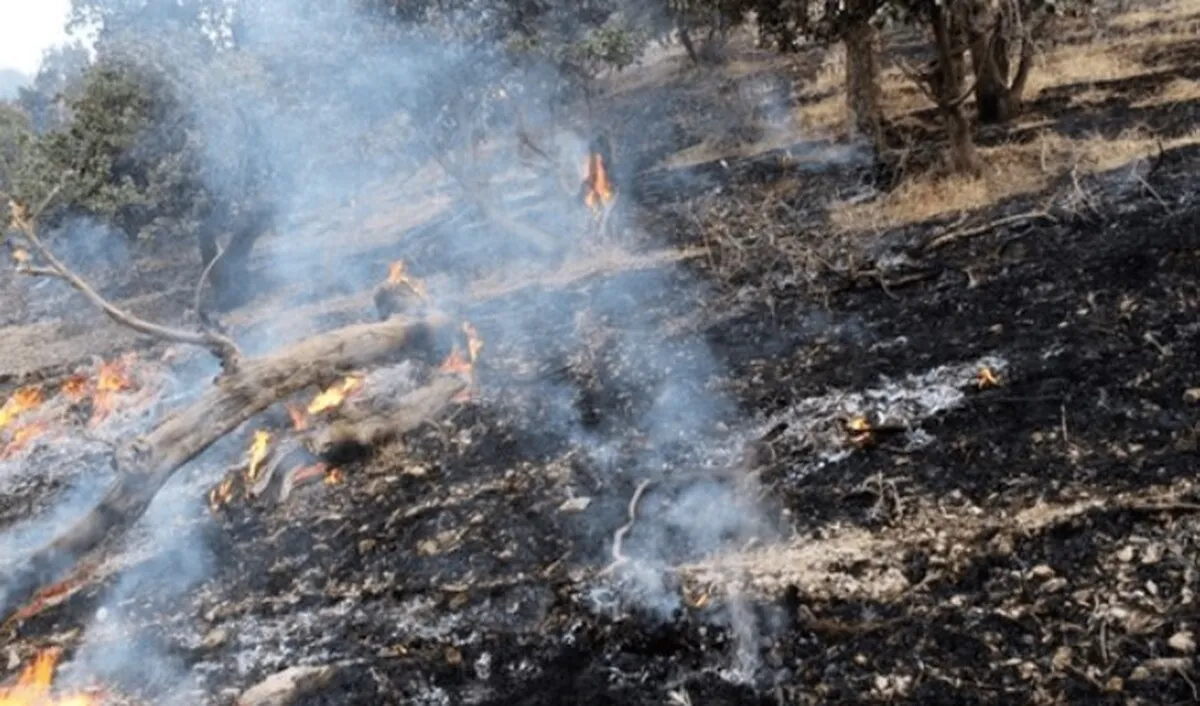 آتش‌سوزی جنگل‌های هیرکانی الیت مهار شد