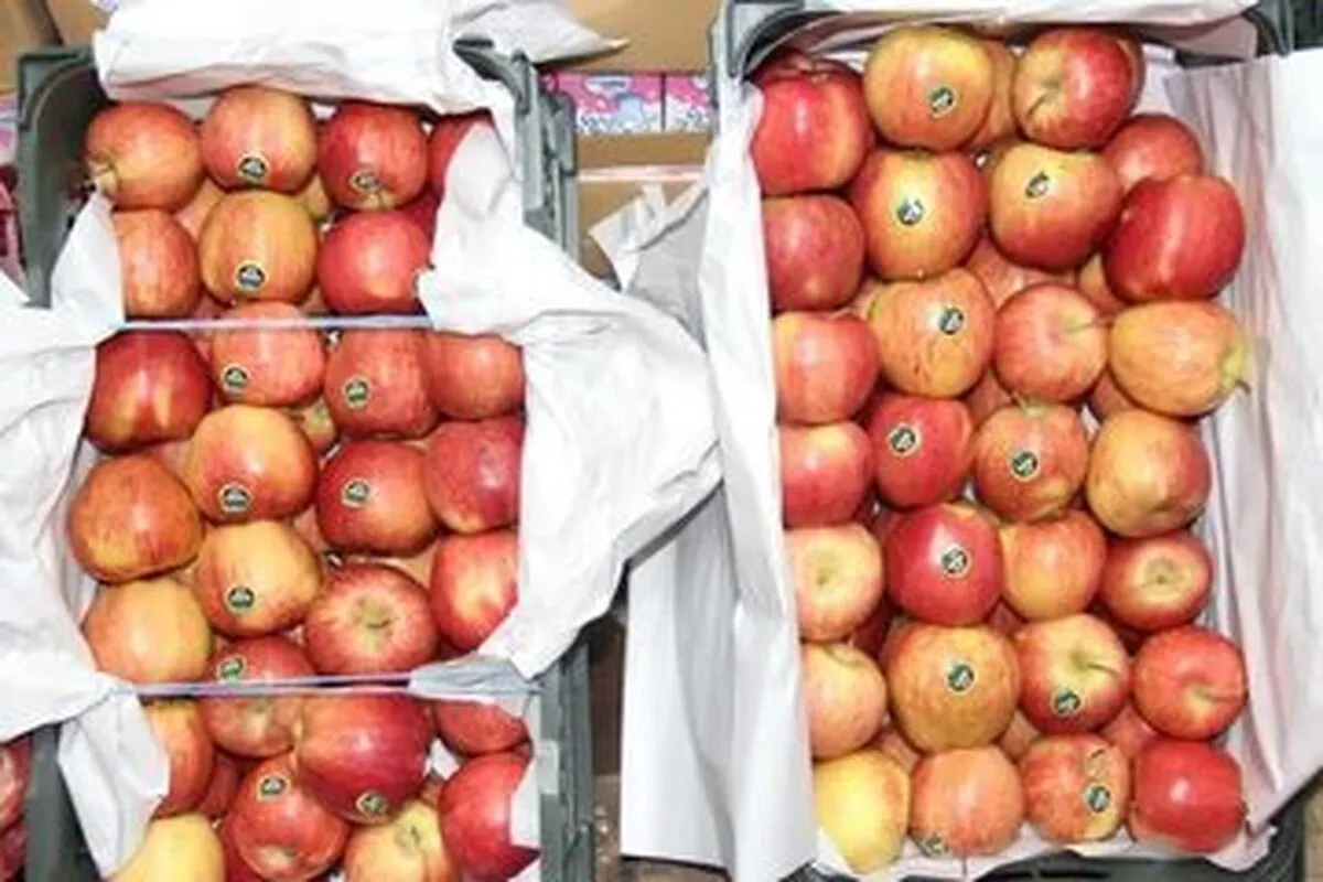 قیمت میوه و سبزیجات تا ۲ فروردین اعلام شد